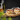 Seekamp Food-Fotografie